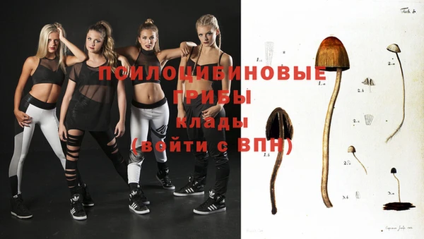 эйфоретик Бородино