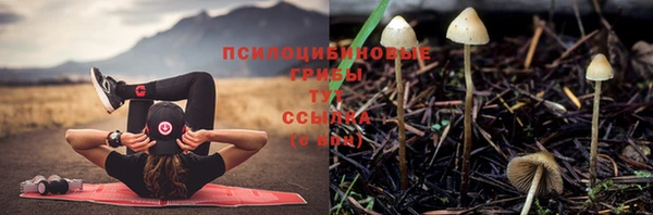 гашик Бугульма