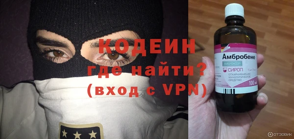 ПСИЛОЦИБИНОВЫЕ ГРИБЫ Богданович