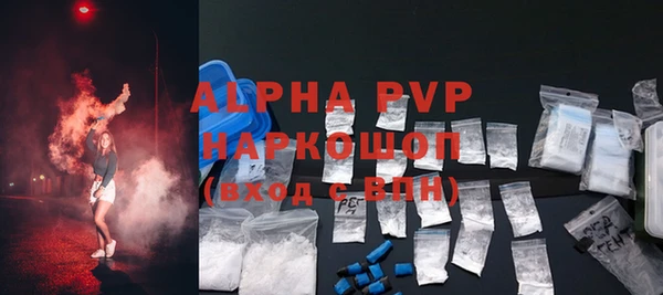 эйфоретик Бородино