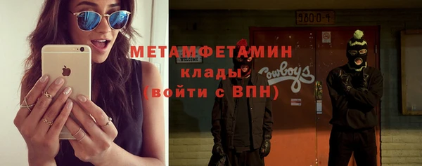 ПСИЛОЦИБИНОВЫЕ ГРИБЫ Богданович