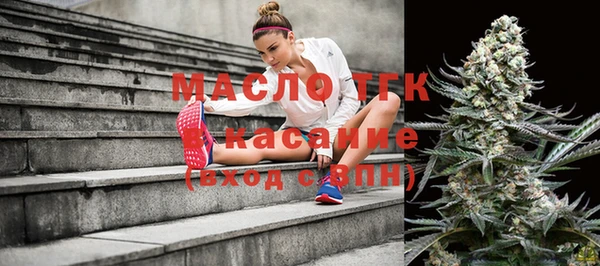 эйфоретик Бородино
