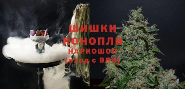 ПСИЛОЦИБИНОВЫЕ ГРИБЫ Богданович